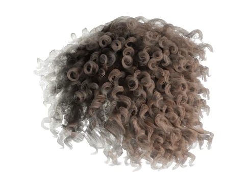 Realistic Female hair curly 3D Model