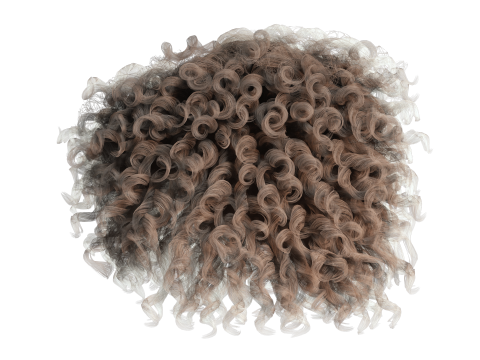 Realistic Female hair curly Modello 3D