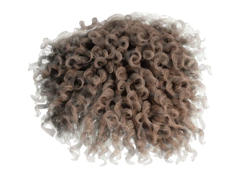 Realistic Female hair curly 3D Model