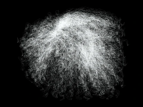 Realistic Female hair curly 3D Model