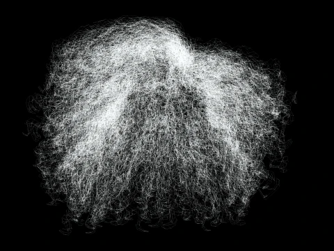 Realistic Female hair curly 3D Model