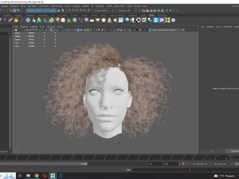 Realistic Female hair curly 3D Model