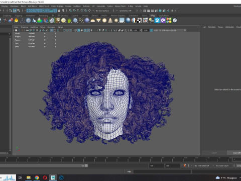 Realistic Female hair curly Modello 3D
