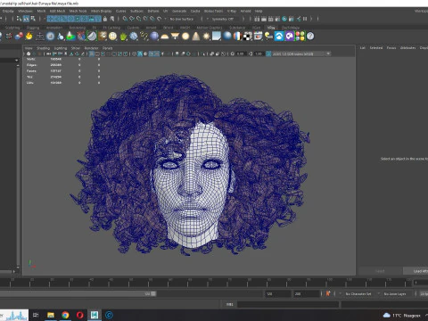 Realistic Female hair curly 3D Model