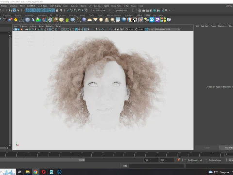 Realistic Female hair curly 3D Model