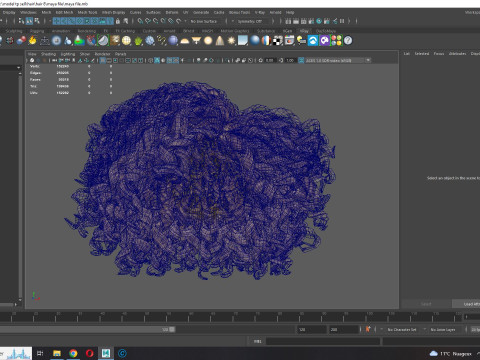 Realistic Female hair curly Modello 3D