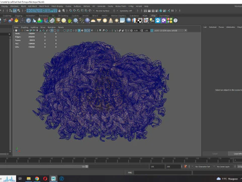 Realistic Female hair curly 3D Model