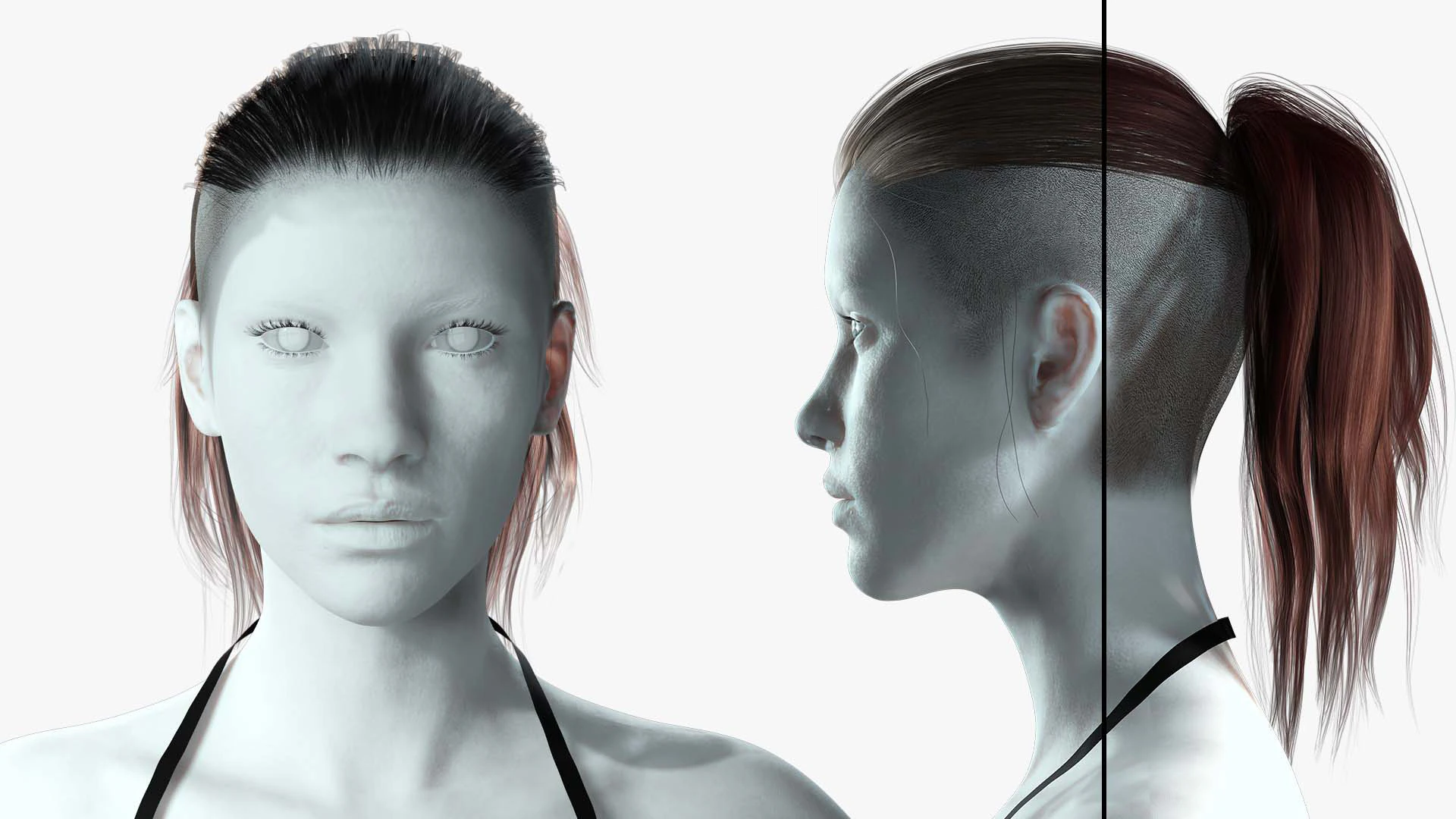 Realistic Female hair tail 3D Model .c4d .max .obj .3ds .fbx .stl .blend 