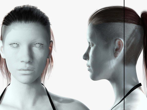Realistic Female hair tail Modelo 3D