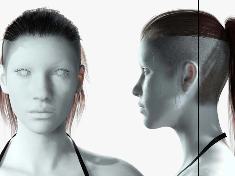 Rabo de cabelo feminino realista Modelo 3D