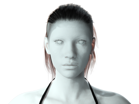 Realistic Female hair tail 3D Model