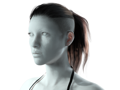 Realistic Female hair tail 3D Model
