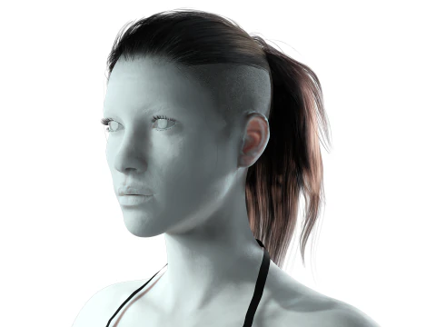 Realistic Female hair tail 3D Model