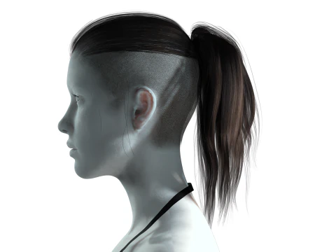 Realistic Female hair tail 3D Model