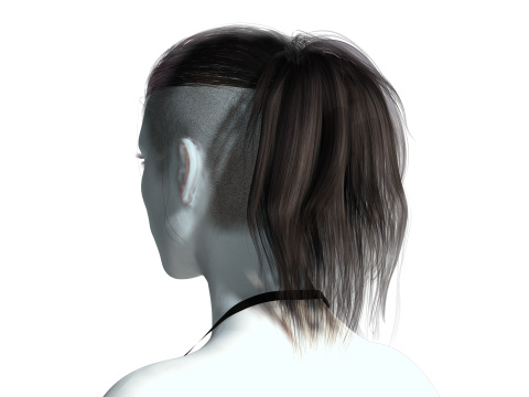 Realistic Female hair tail 3D Model