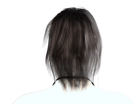 Realistic Female hair tail 3D Model