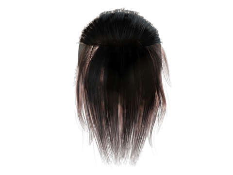 Realistic Female hair tail 3D Model