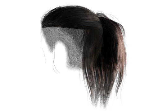 Realistic Female hair tail 3D Model