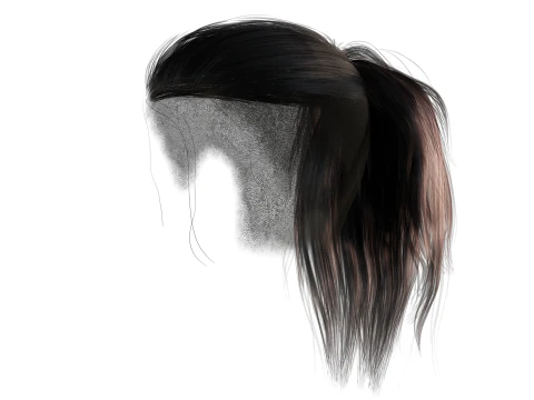 Realistic Female hair tail 3D Model