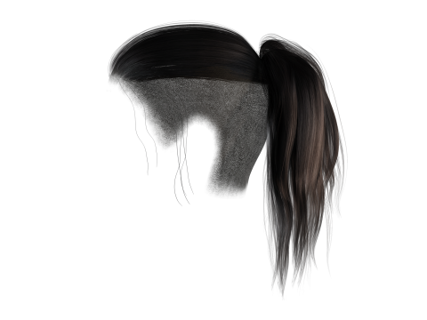 Realistic Female hair tail 3D Model