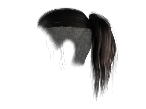 Realistic Female hair tail 3D Model