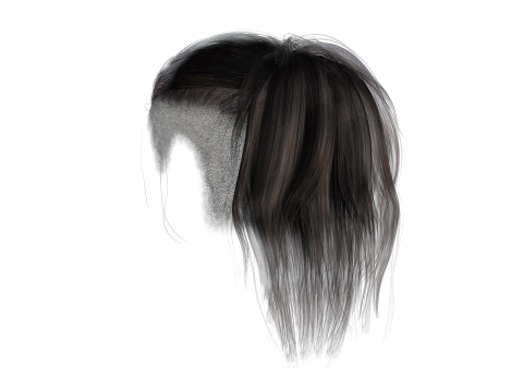 Realistic Female hair tail 3D Model