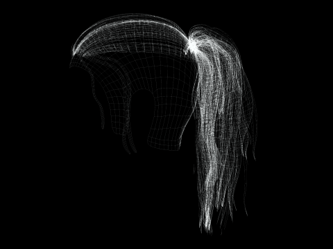 Realistic Female hair tail 3D Model