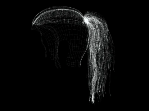 Realistic Female hair tail 3D Model