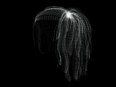 Realistic Female hair tail 3D Model