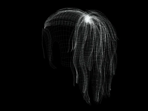 Realistic Female hair tail 3D Model