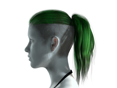 Realistic Female hair tail 3D Model