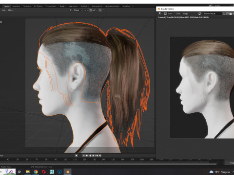 Realistic Female hair tail 3D Model