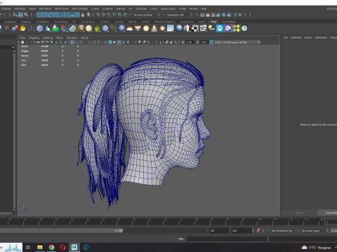 Realistic Female hair tail 3D Model