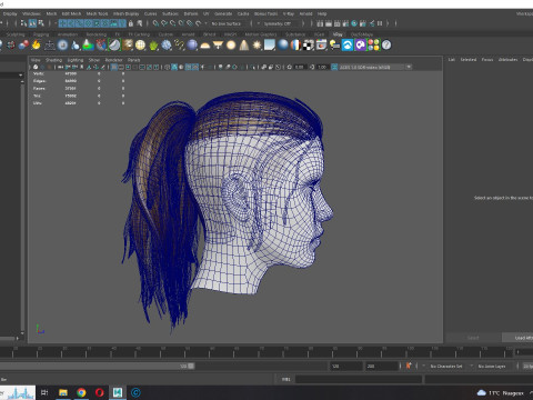 Realistic Female hair tail 3D Model