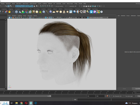 Realistic Female hair tail 3D Model