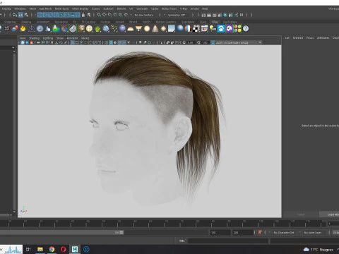 Realistic Female hair tail 3D Model
