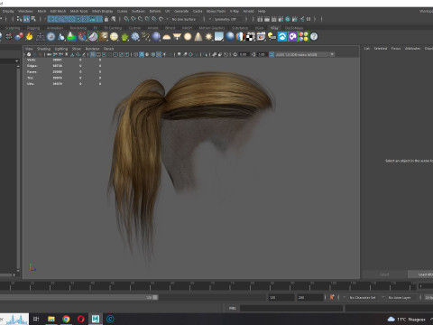 Realistic Female hair tail 3D Model