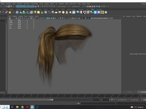 Realistic Female hair tail 3D Model