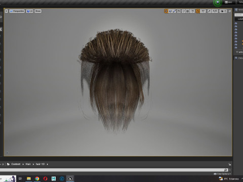 Realistic Female hair tail 3D Model