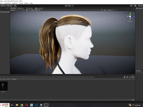 Realistic Female hair tail 3D Model