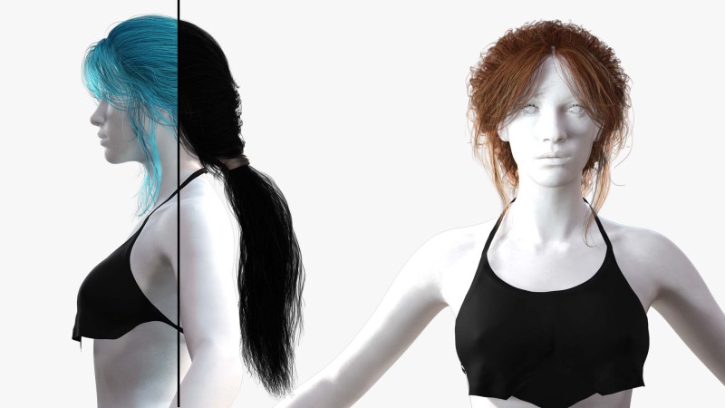 Realistic Female hair long tail 3D Model .c4d .max .obj .3ds .fbx .stl .blend 
