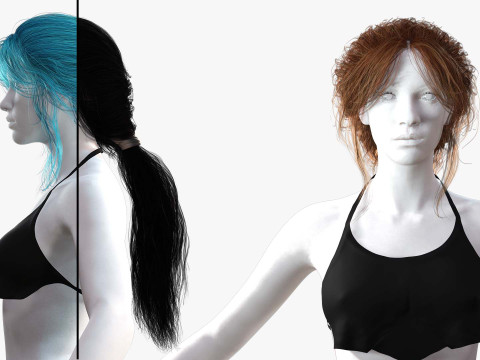 Realistic Female hair long tail 3D Model