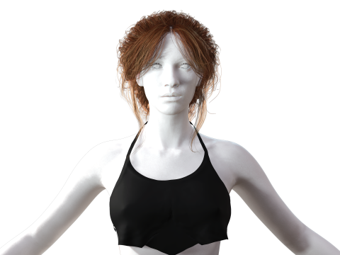 Realistic Female hair long tail 3D Model