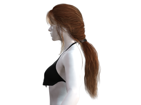 Realistic Female hair long tail 3D Model