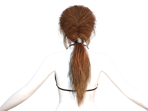 Realistic Female hair long tail 3D Model