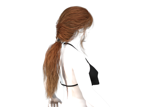 Realistic Female hair long tail 3D Model
