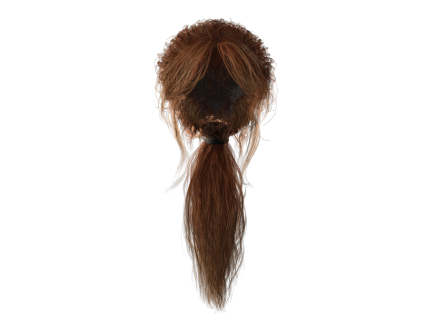 Realistic Female hair long tail 3D Model