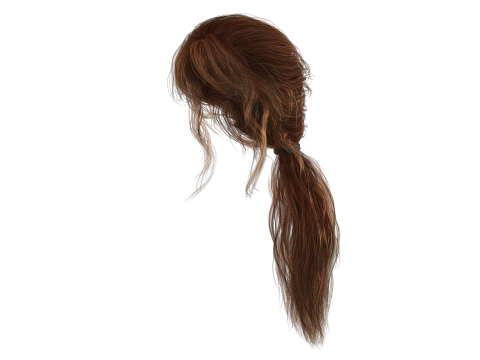 Realistic Female hair long tail 3D Model