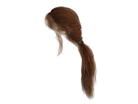 Realistic Female hair long tail 3D Model