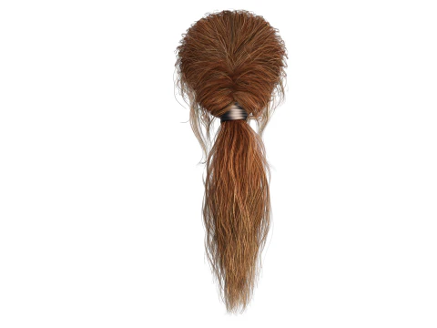 Realistic Female hair long tail 3D Model